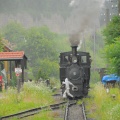 Rueckfahrt Dampflok dsc 8534 f
