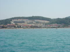 P7132443 f