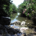 P6220266 f