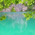 DSCN0067 f