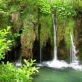 DSCN0096 f