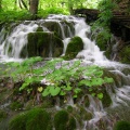 DSCN0114 f