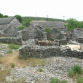 DSCN0145 f