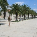 DSCN0243 f