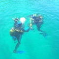 DSCN0312 f