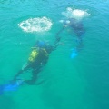 DSCN0313 f