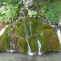 PICT1093 f