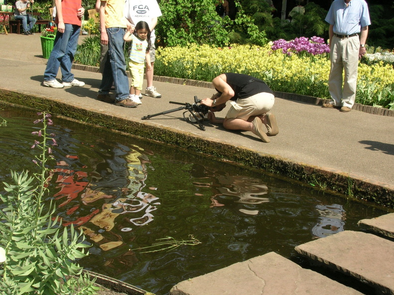 DSCN1381_Keukenhof_f.JPG