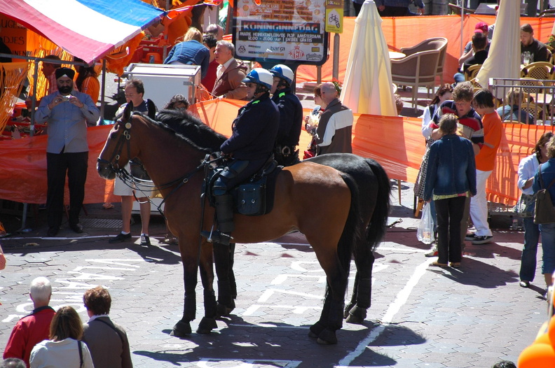 DSC 6782 Queensday f