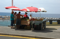 Calheta DSC 2371 f