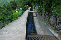 Levada Encumeada DSC 1774 f