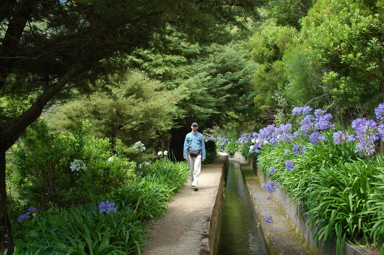Levada_Encumeada_DSC_1792_f.JPG