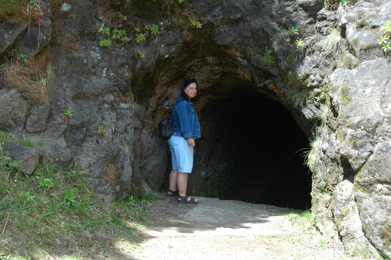 Levada_Encumeada_DSC_1838_f.JPG