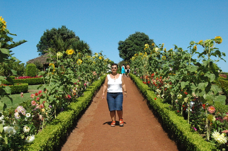 Grillplatz_Nordeste_DSC_7962_f.JPG