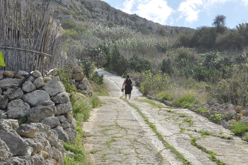 Gozo_DSC_4132_ff.JPG