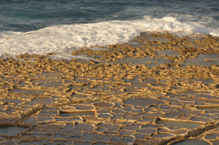 Gozo DSC 4240 ff