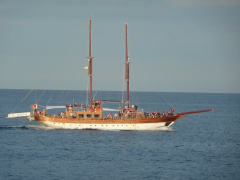 Segelboot P1030524 ff