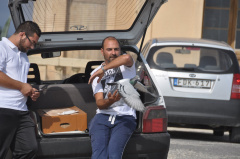 Taubentraining DSC 4964 ff