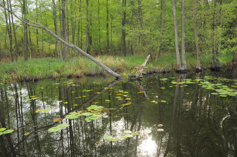 DSC_0855_f.JPG