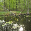 DSC 0855 f