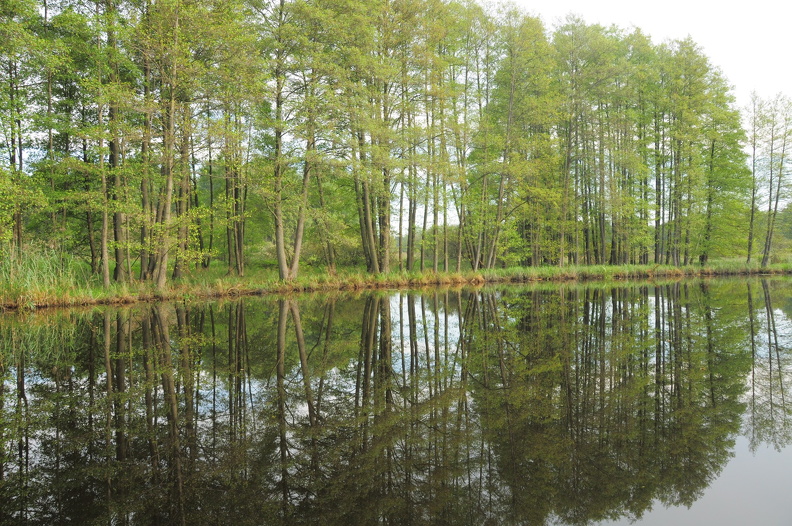 DSC_0862_f.JPG