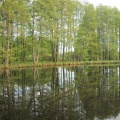 DSC 0862 f