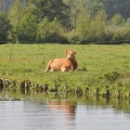 DSC 0926 f