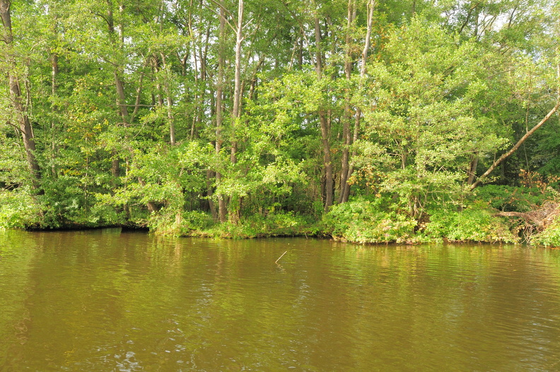 DSC_0985_f.JPG