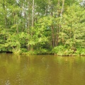 DSC 0985 f