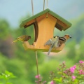 20130707 Vogelhaus 9230 f