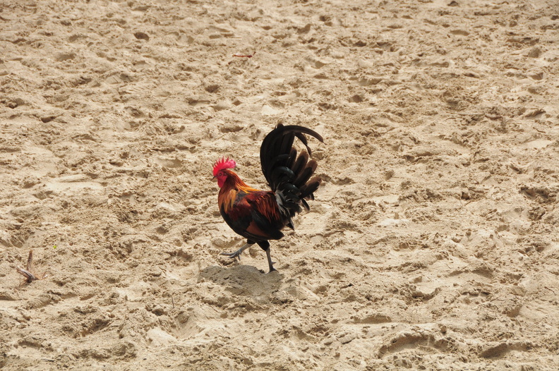 Hahn_Kee_Beach_D90_2719f.jpg