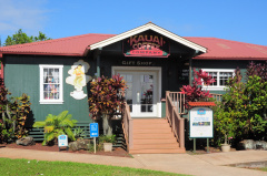 Kalaheo Kauai Coffee D90 2506f