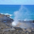 Spouting Horn D90 2498f