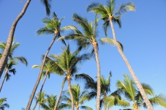 Wailea Ekahi Village D90 1881 f