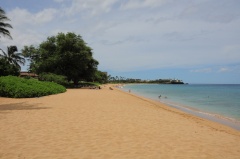 Wailea Ekahi Village D90 2219 f