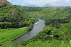 Wailua River D90 2434f