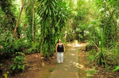 Wailua River D90 2975f