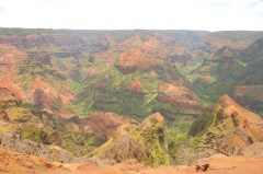 Waimea Canyon D90 2915f