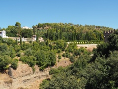 2016-09-16 Alhambra EM10 1458 f